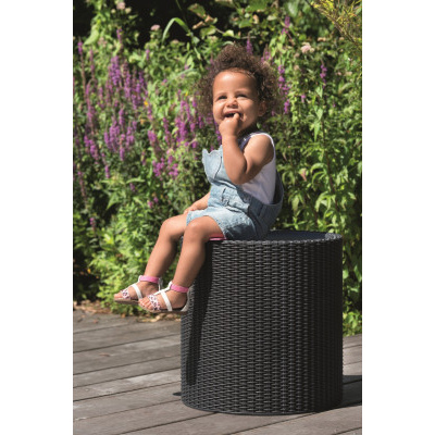 Keter Stůl Cool Stool 39L Antracit